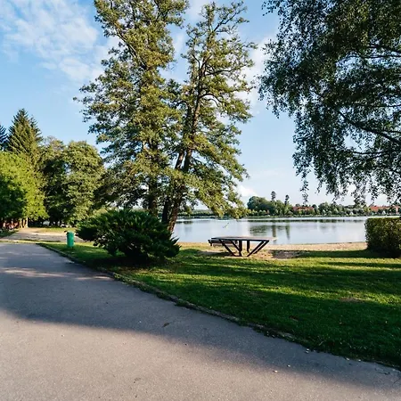 Lesák Rekreační Středisko Hotel